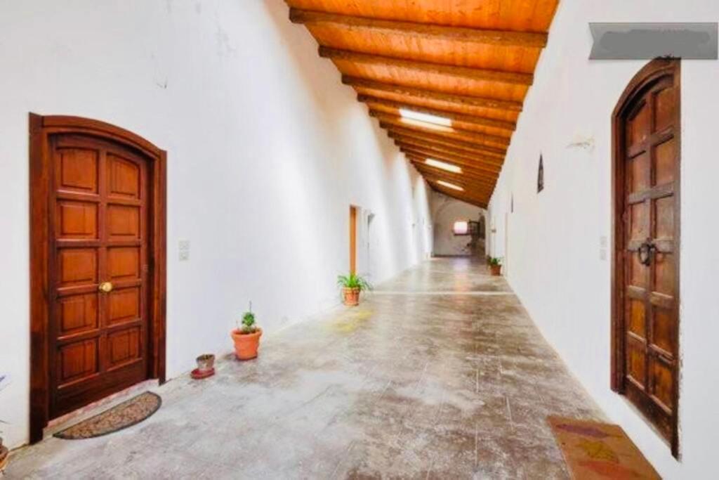Wonderful Apartment In Old Alghero Eksteriør billede